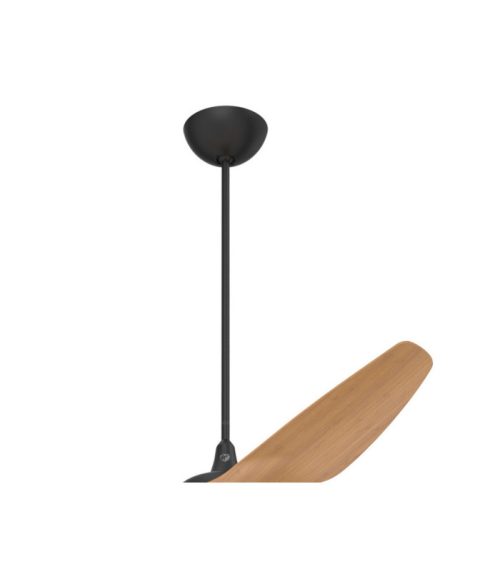 Haiku (H) & I Downrod